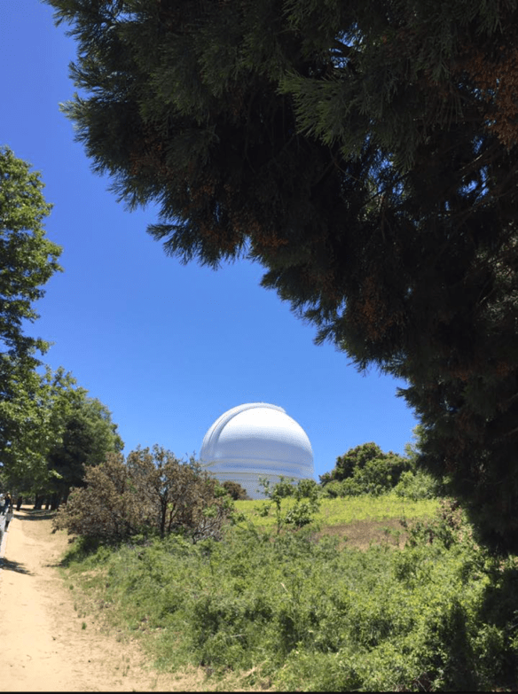 Screen Shot 2017-05-28 at 10.47.38 AM