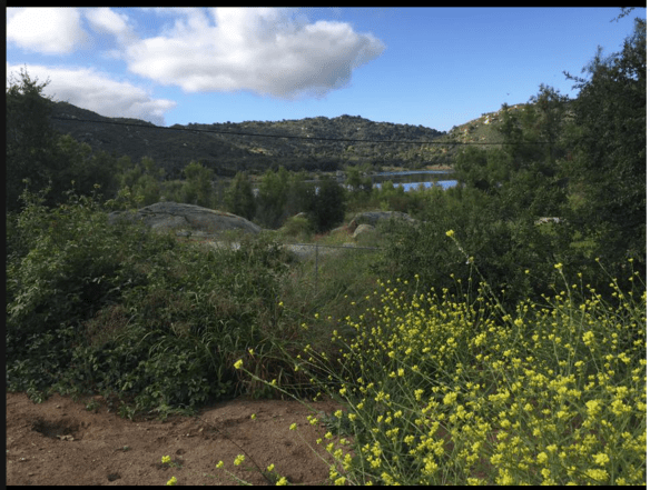 Screen Shot 2017-05-28 at 10.48.37 AM